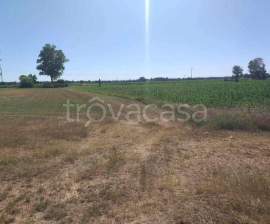 terreno agricolo in vendita a Frugarolo