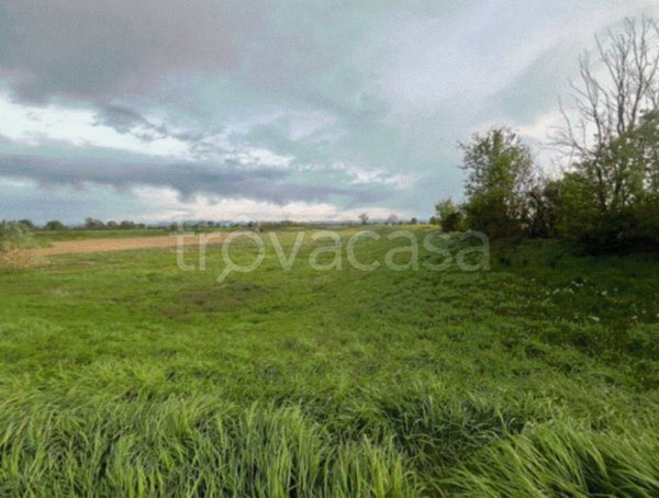 terreno agricolo in vendita a Frugarolo