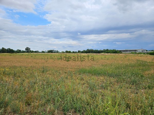 terreno agricolo in vendita a Frugarolo