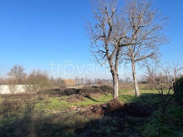 terreno agricolo in vendita a Frugarolo
