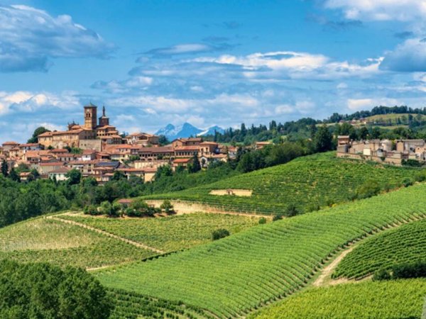 terreno agricolo in vendita a Fubine Monferrato