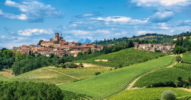 terreno agricolo in vendita a Fubine Monferrato