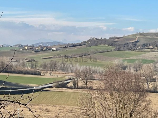 esavano in vendita a Fubine Monferrato