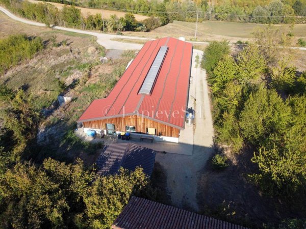 azienda agricola in vendita a Fubine Monferrato