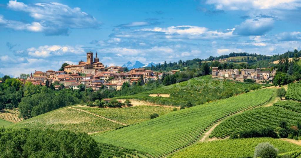 terreno agricolo in vendita a Fubine Monferrato