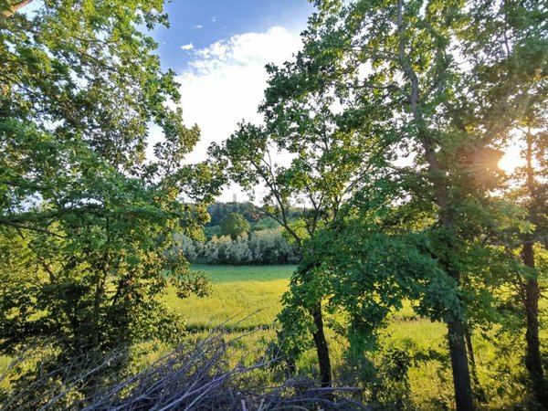 appartamento in vendita a Fubine Monferrato