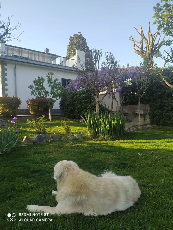 casa indipendente in vendita a Gamalero