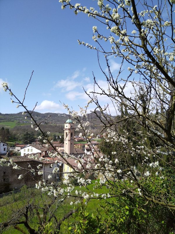 casa indipendente in vendita a Garbagna