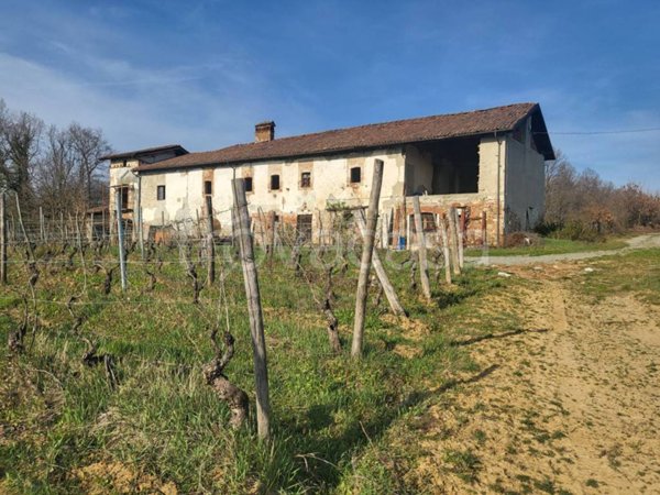 terreno agricolo in vendita a Gavi