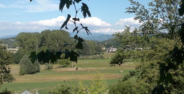 casa indipendente in vendita a Gavi