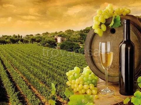 casa indipendente in vendita a Gavi