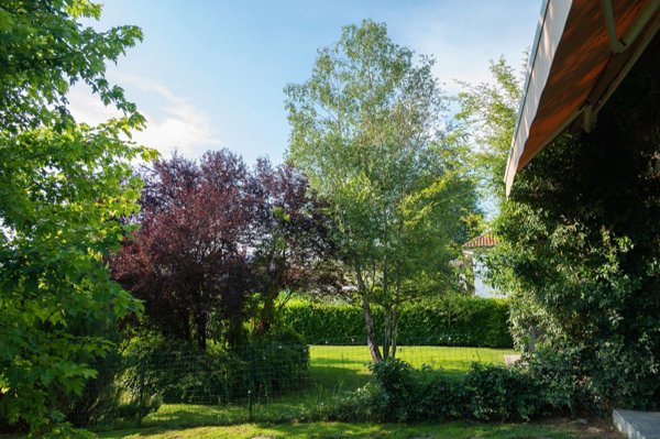 casa indipendente in vendita a Giarole