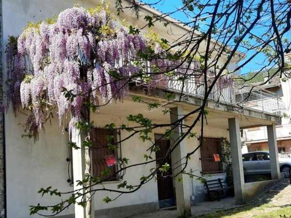 casa semindipendente in vendita a Gremiasco