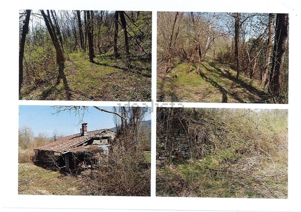 appartamento in vendita a Gremiasco