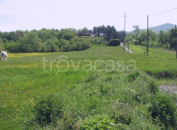 terreno edificabile in vendita a Grondona