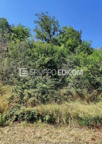 terreno agricolo in vendita a Lerma