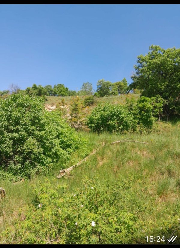 quadrivano in vendita a Malvicino