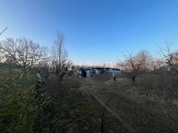 terreno agricolo in vendita a Masio