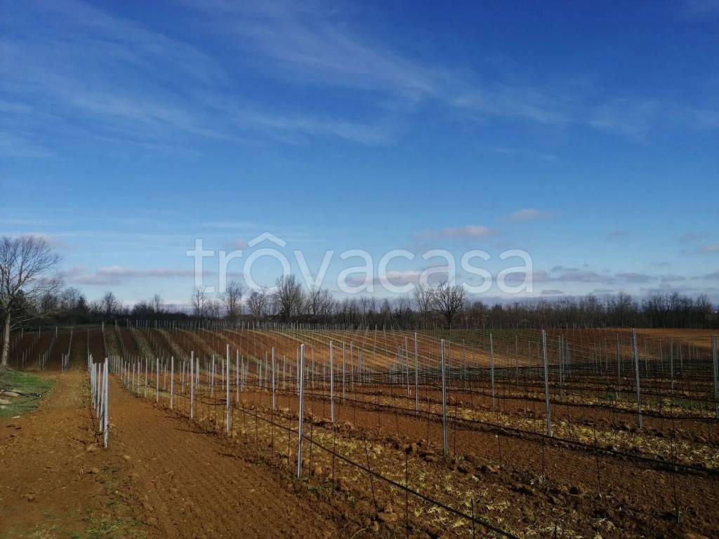 terreno agricolo in vendita a Masio