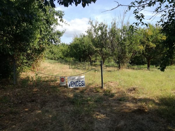 terreno agricolo in vendita a Masio in zona Abazia