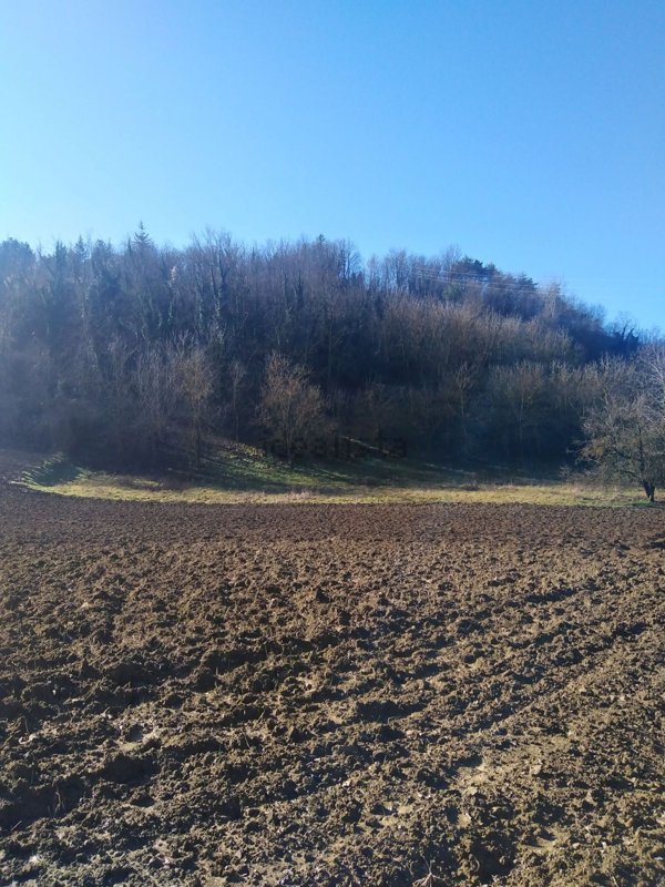 terreno agricolo in vendita a Melazzo