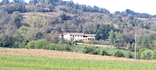 casa indipendente in vendita a Merana