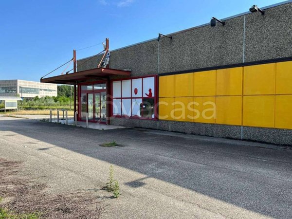 negozio in vendita a Mirabello Monferrato