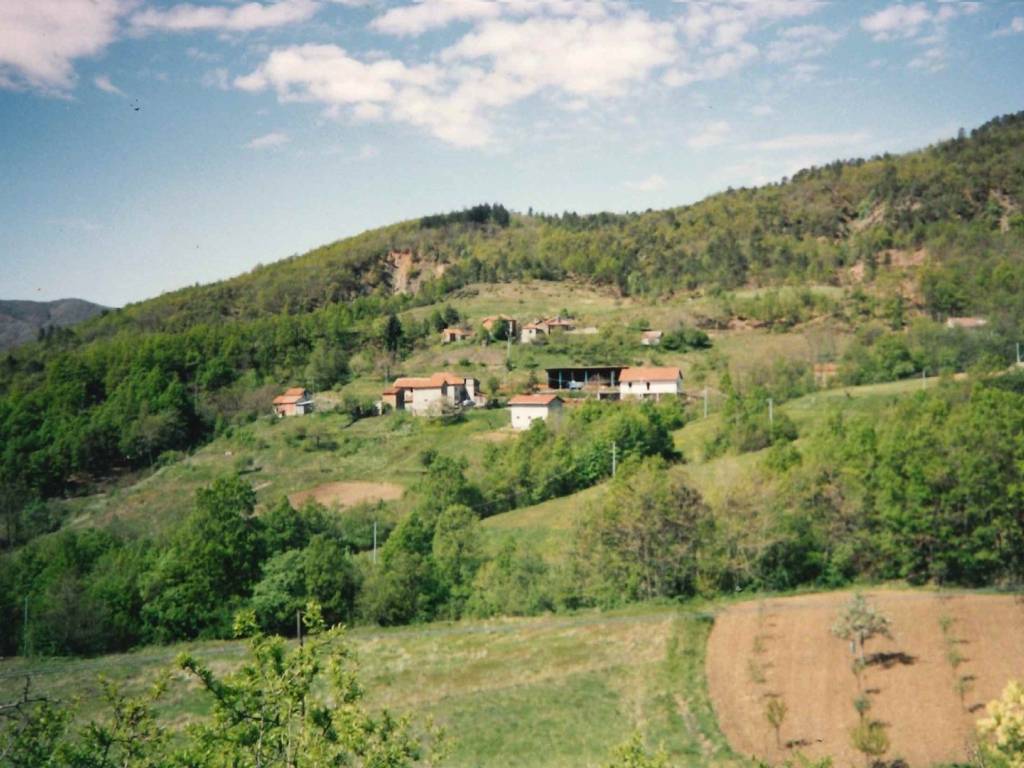 casa indipendente in vendita a Molare