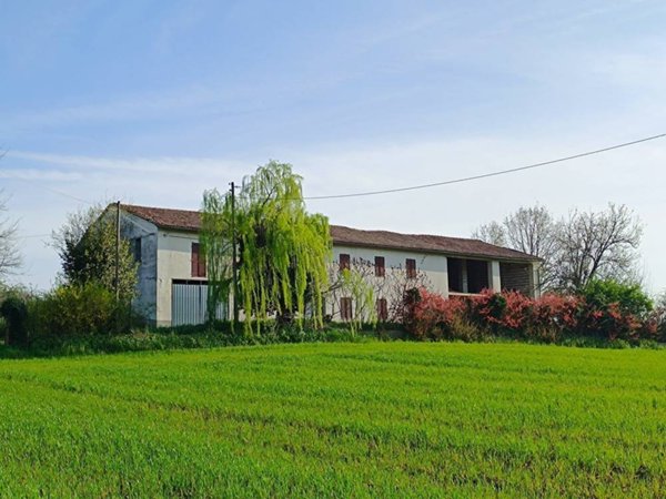 esavano in vendita a Mombello Monferrato