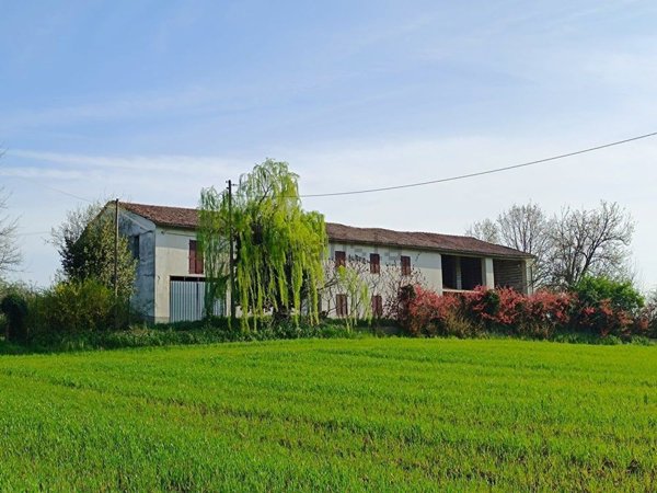 esavano in vendita a Mombello Monferrato
