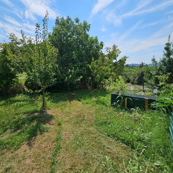 casa indipendente in vendita a Mombello Monferrato in zona Morsingo