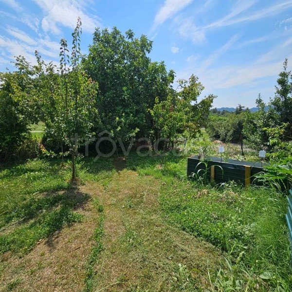 casa indipendente in vendita a Mombello Monferrato in zona Morsingo