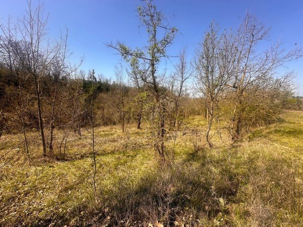 casa indipendente in vendita a Monleale