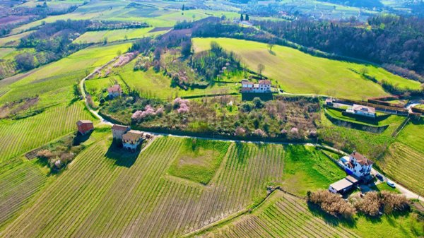 terreno agricolo in vendita a Monleale
