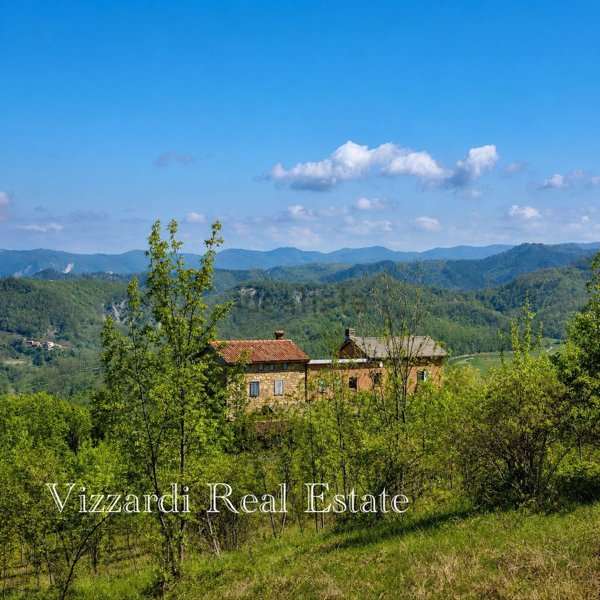 casa indipendente in vendita a Montacuto