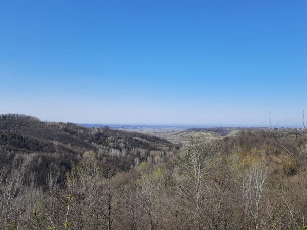 casale in vendita a Montaldo Bormida