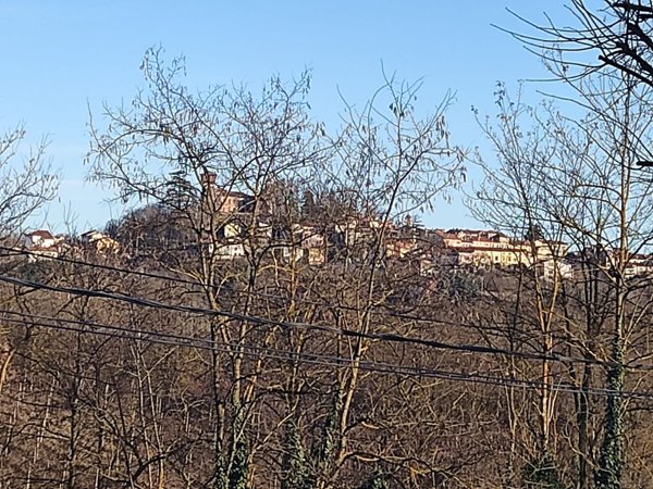 appartamento in vendita a Montaldo Bormida