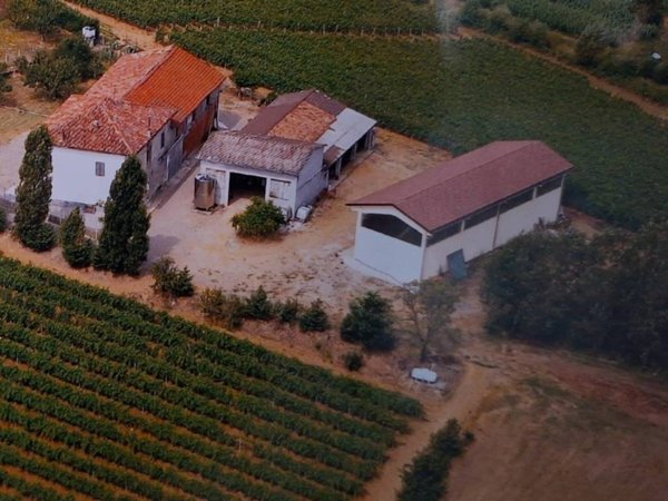 casa indipendente in vendita a Montaldo Bormida