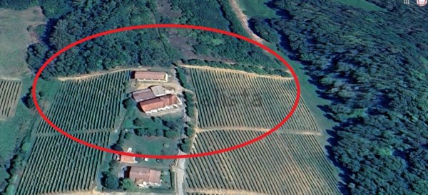 casa indipendente in vendita a Montaldo Bormida
