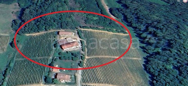 casa indipendente in vendita a Montaldo Bormida