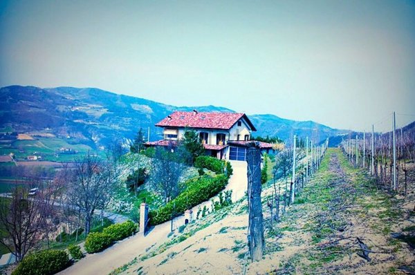 casa indipendente in vendita a Montechiaro d'Acqui