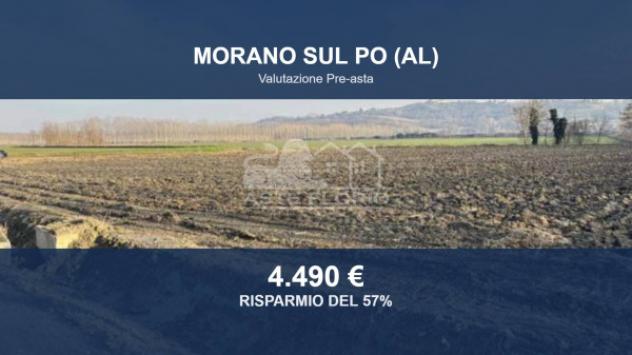 terreno agricolo in vendita a Morano sul Po