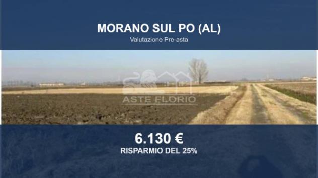 terreno agricolo in vendita a Morano sul Po