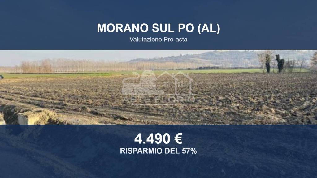 terreno agricolo in vendita a Morano sul Po