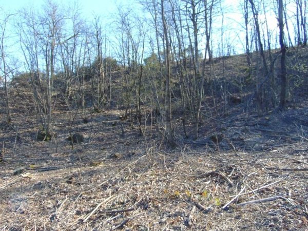 rudere in vendita a Morbello