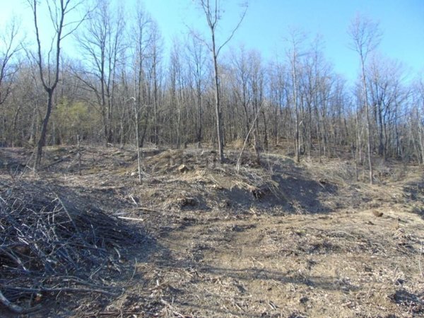 rudere in vendita a Morbello