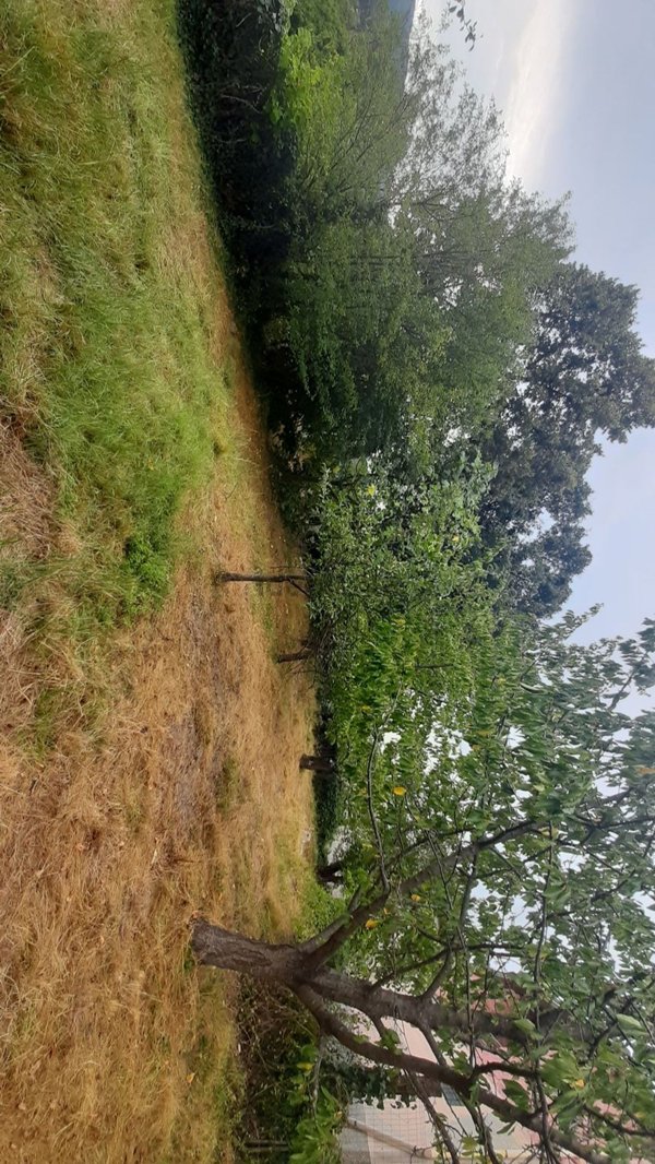 appartamento in vendita a Morbello in zona Costa