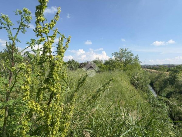 terreno agricolo in vendita a Novi Ligure