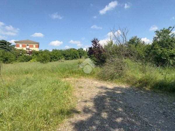 terreno agricolo in vendita a Novi Ligure