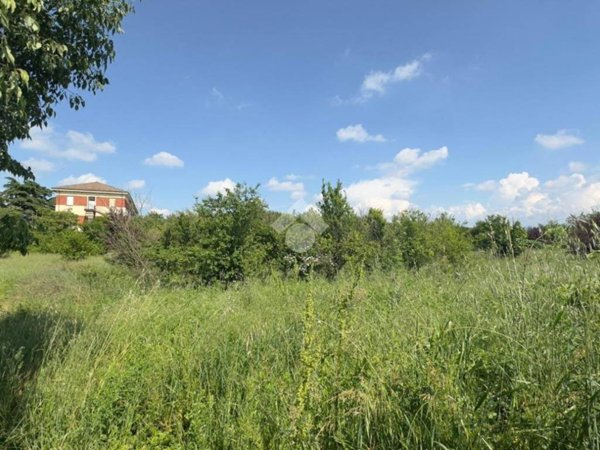 terreno agricolo in vendita a Novi Ligure